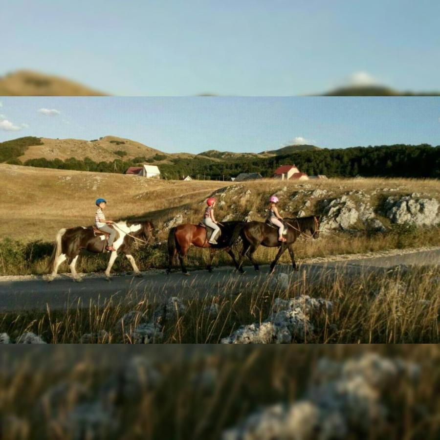 Rural Resort Tron 普卢日内 外观 照片